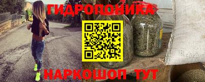 стаф Обь