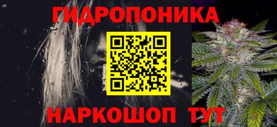стаф Обь