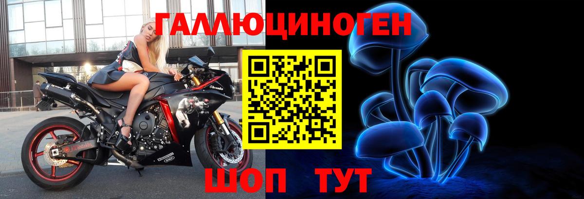 Соликамск  Галлюциногенные грибы Psilocybe  Вход с VPN 